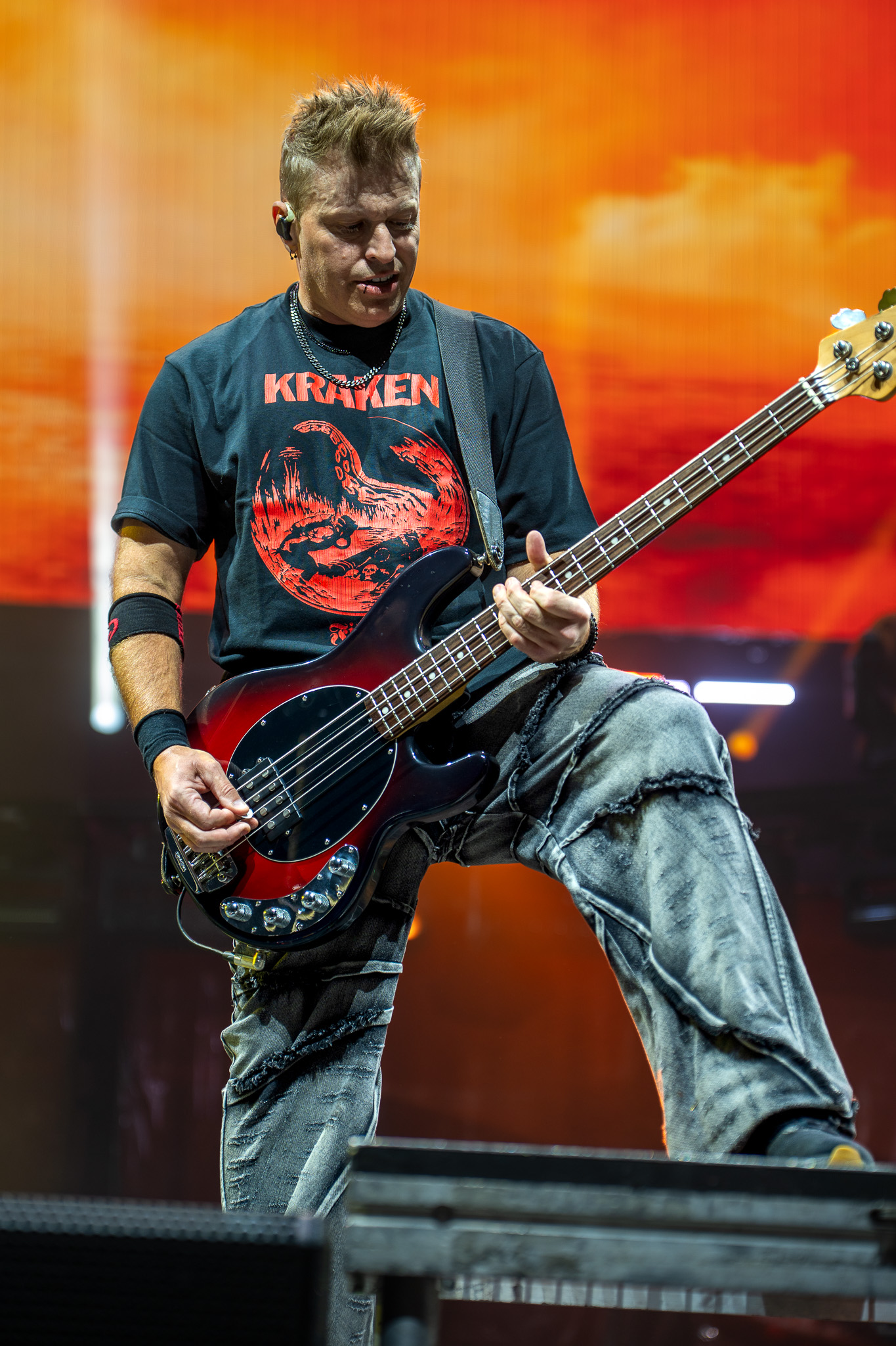 Three Days Grace performance detail